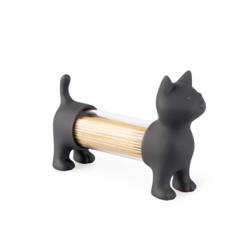 Palillero Cat